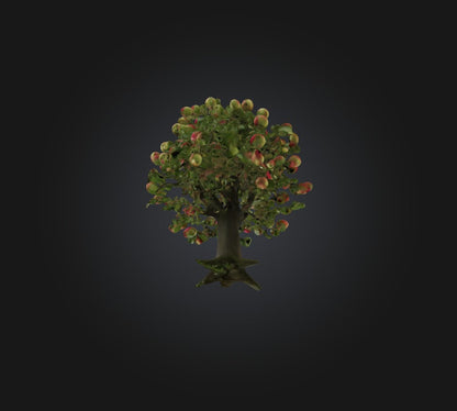 3D model Apple Tree VR / AR / low-poly
