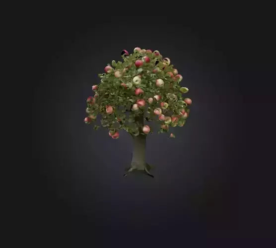 3D model Apple Tree VR / AR / low-poly