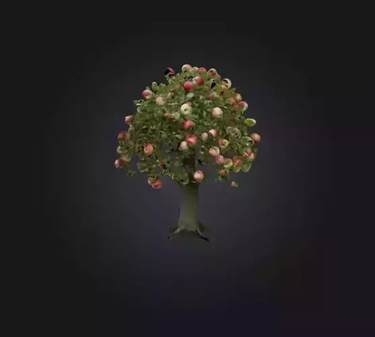 3D model Apple Tree VR / AR / low-poly