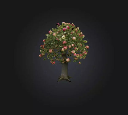 3D model Apple Tree VR / AR / low-poly