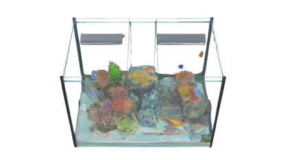 3D model Aquarium VR / AR / low-poly