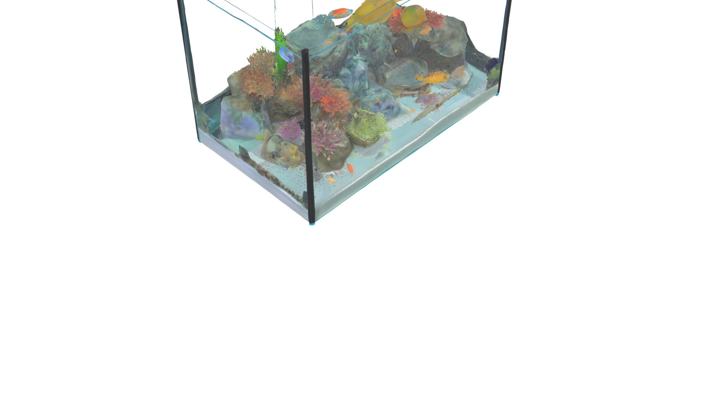 3D model Aquarium VR / AR / low-poly