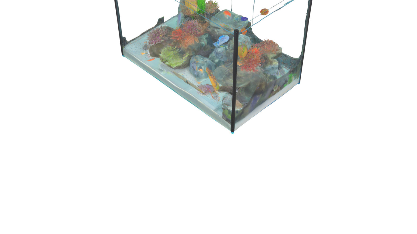 3D model Aquarium VR / AR / low-poly
