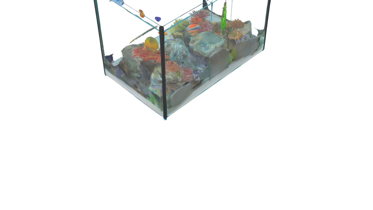 3D model Aquarium VR / AR / low-poly