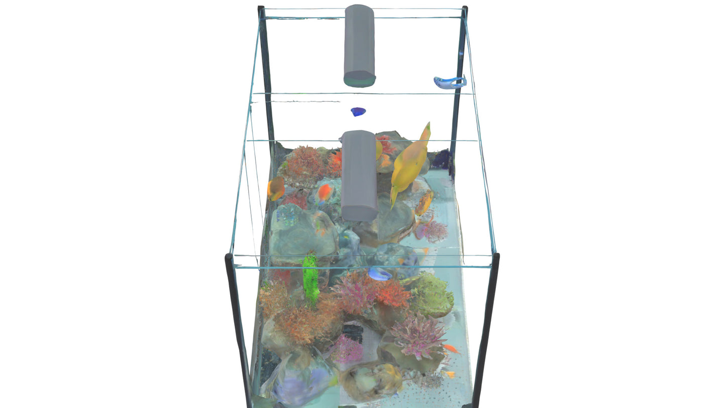3D model Aquarium VR / AR / low-poly