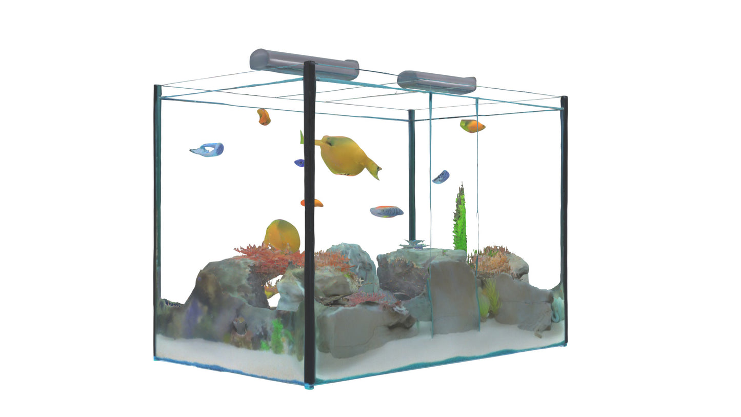 3D model Aquarium VR / AR / low-poly