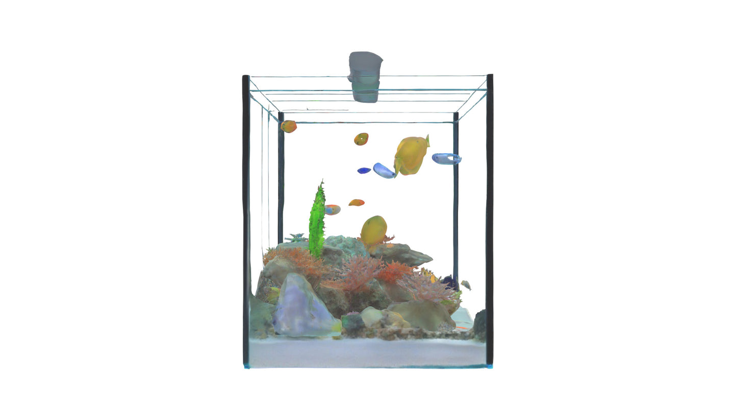 3D model Aquarium VR / AR / low-poly