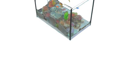 3D model Aquarium VR / AR / low-poly