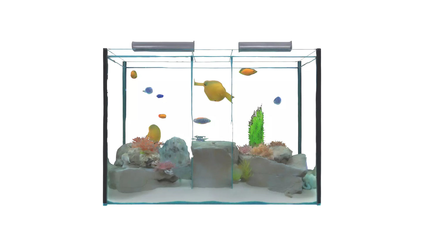 3D model Aquarium VR / AR / low-poly