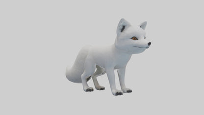 3D model Arctic Fox Model 1 VR / AR / low-poly