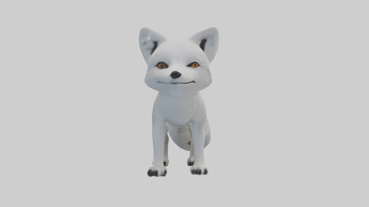 3D model Arctic Fox Model 1 VR / AR / low-poly