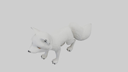 3D model Arctic Fox Model 1 VR / AR / low-poly