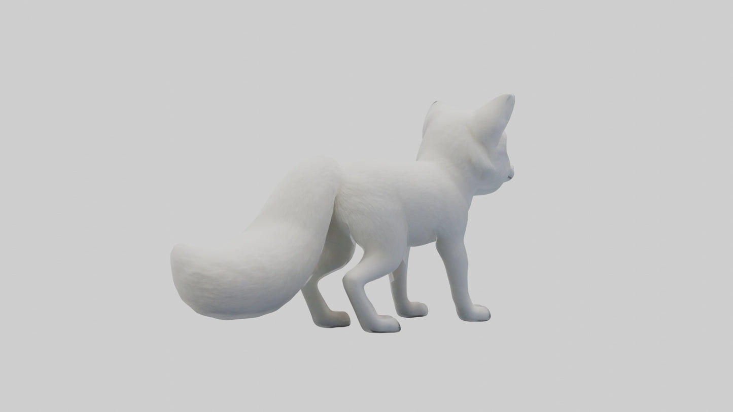 3D model Arctic Fox Model 1 VR / AR / low-poly