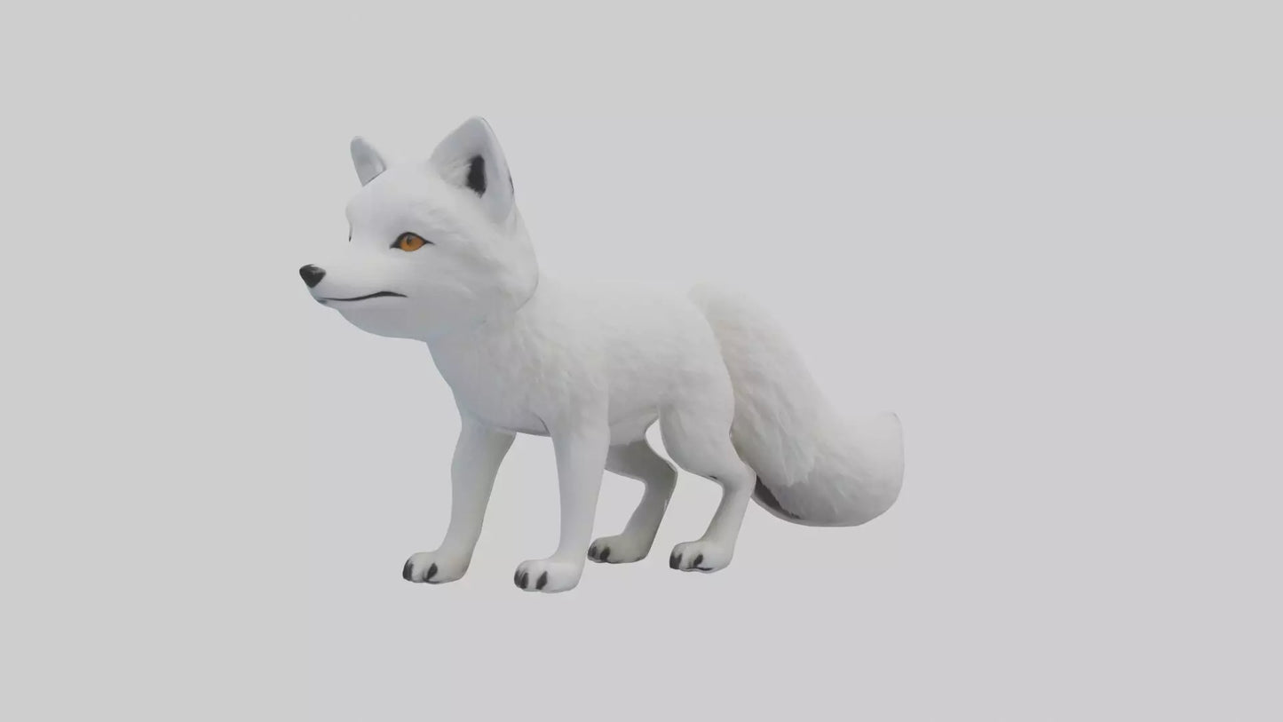 3D model Arctic Fox Model 1 VR / AR / low-poly