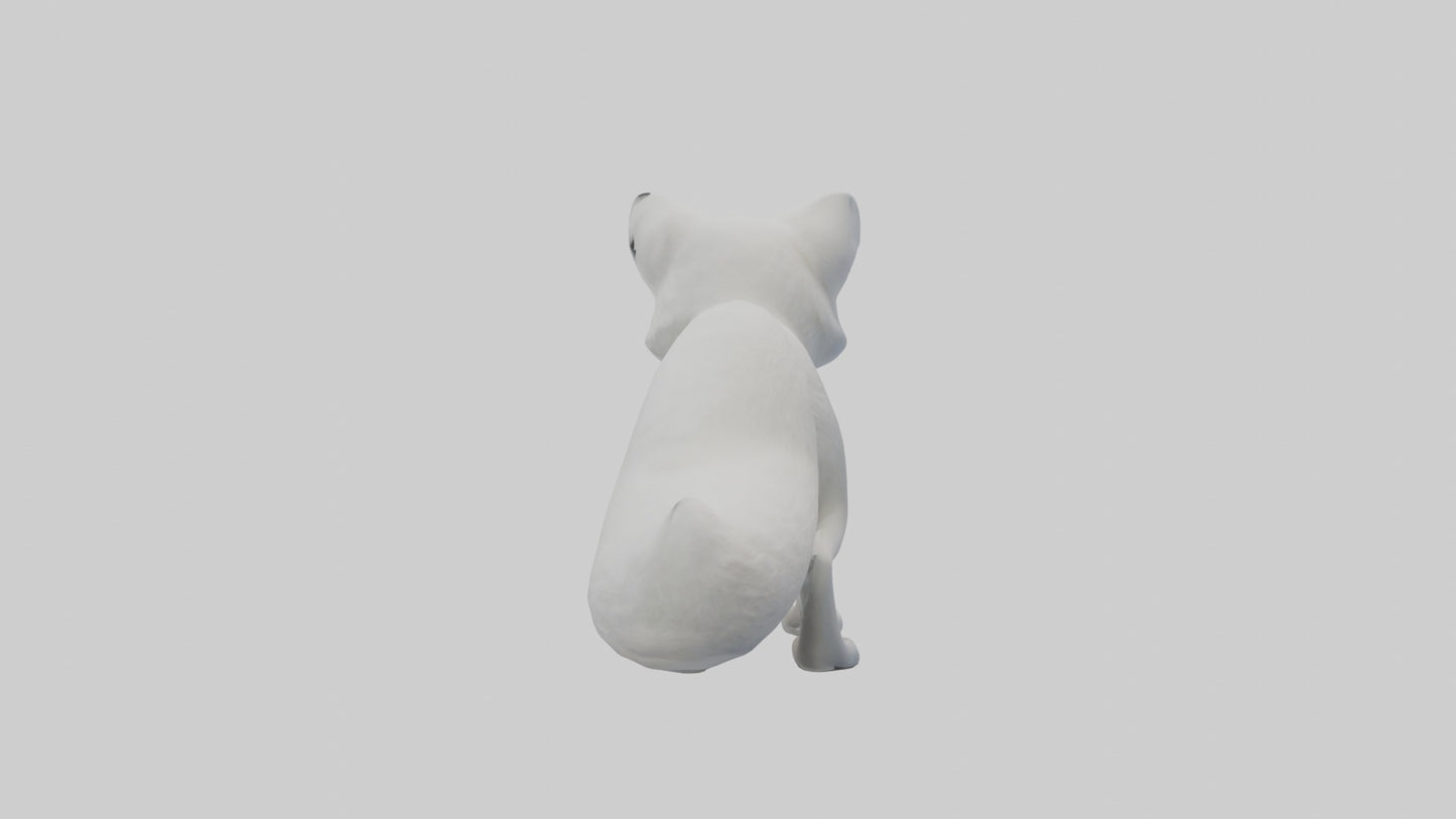 3D model Arctic Fox Model 1 VR / AR / low-poly
