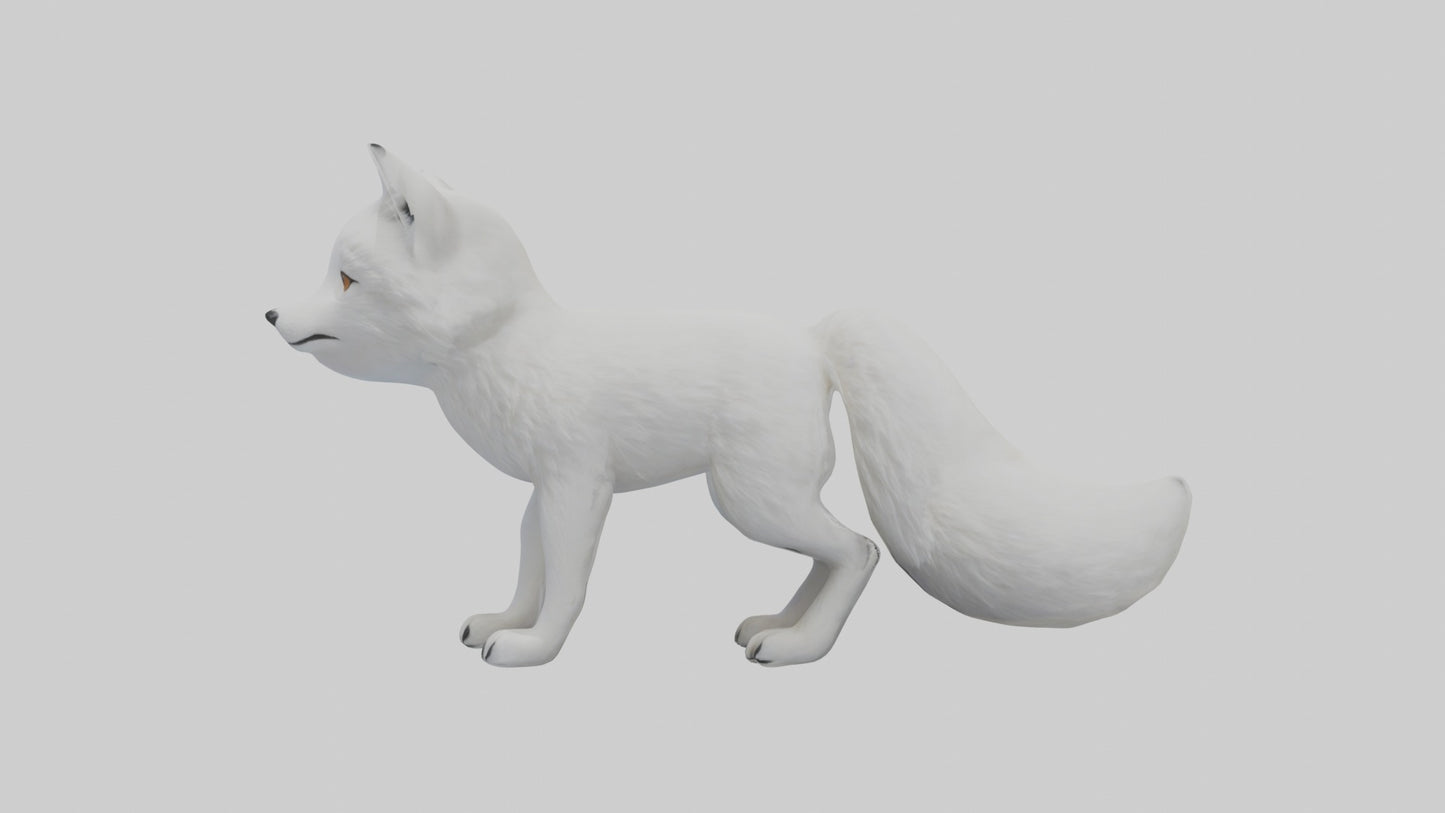 3D model Arctic Fox Model 1 VR / AR / low-poly
