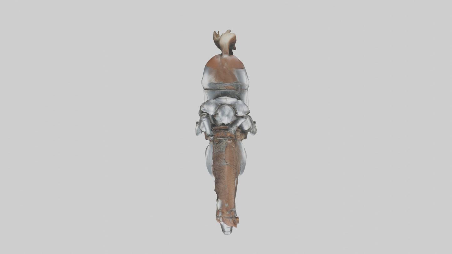 3D model Armoredhorse Model 1 VR / AR / low-poly