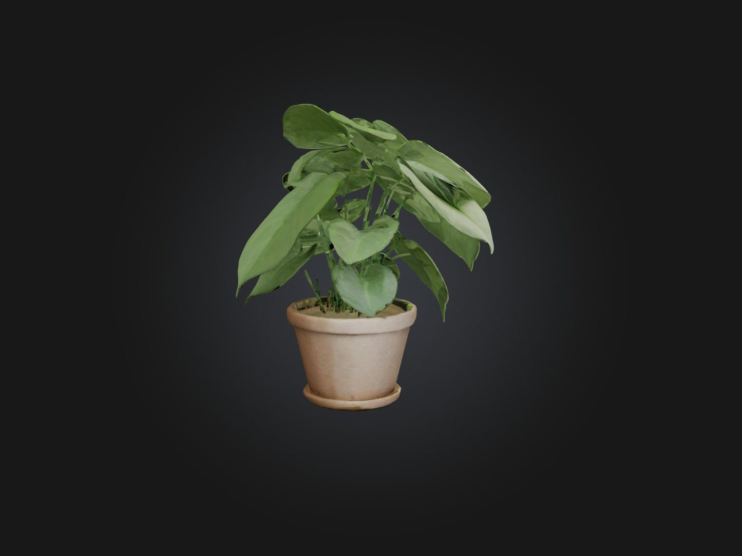3D model Arrowhead Plant Model VR / AR / low-poly