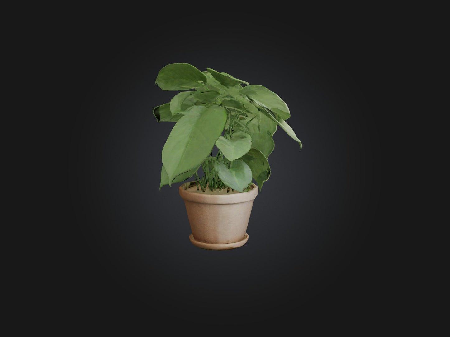 3D model Arrowhead Plant Model VR / AR / low-poly