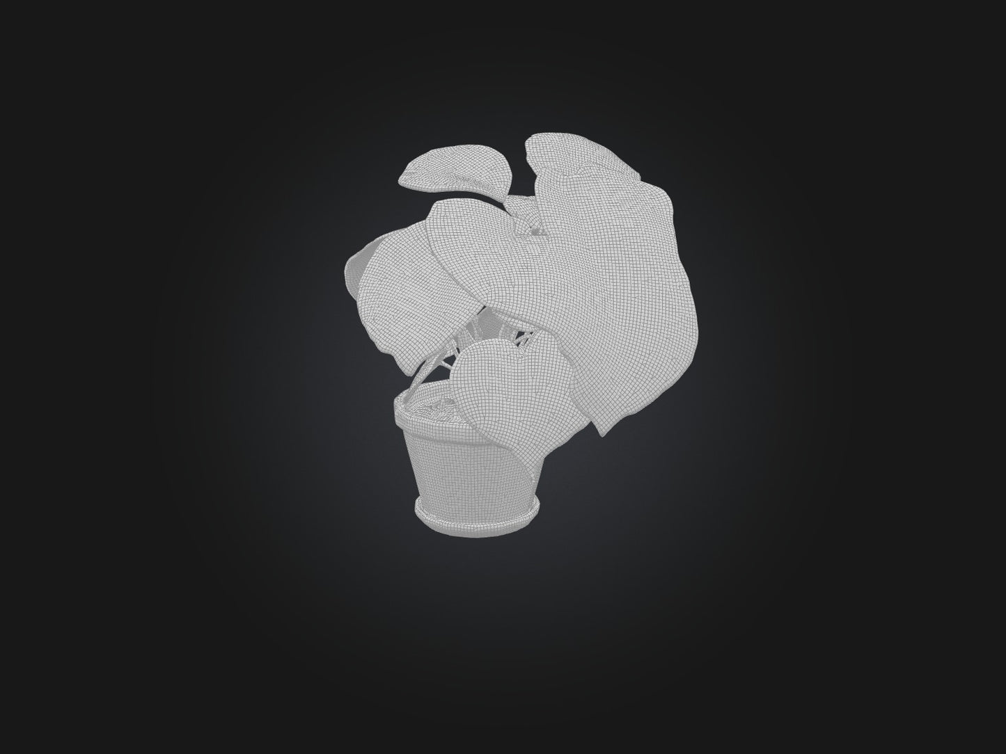 3D model Arrowhead Plant Model VR / AR / low-poly