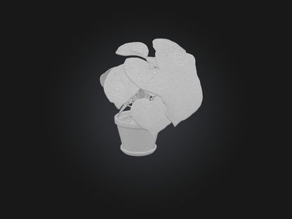 3D model Arrowhead Plant Model VR / AR / low-poly