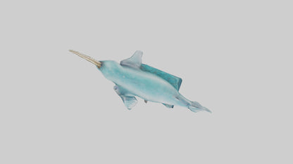 3D model arwhal Whale statue model VR / AR / low-poly
