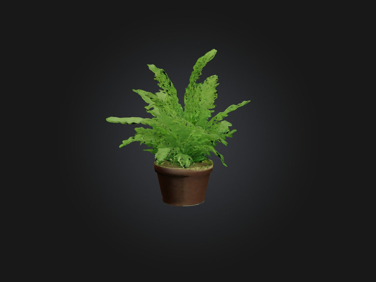 3D model Asparagus Fern Model VR / AR / low-poly