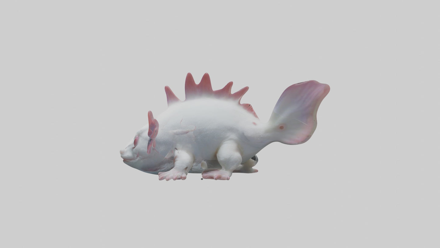 3D model Axolotl Model 1 VR / AR / low-poly