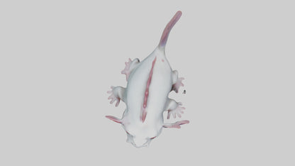 3D model Axolotl Model 1 VR / AR / low-poly