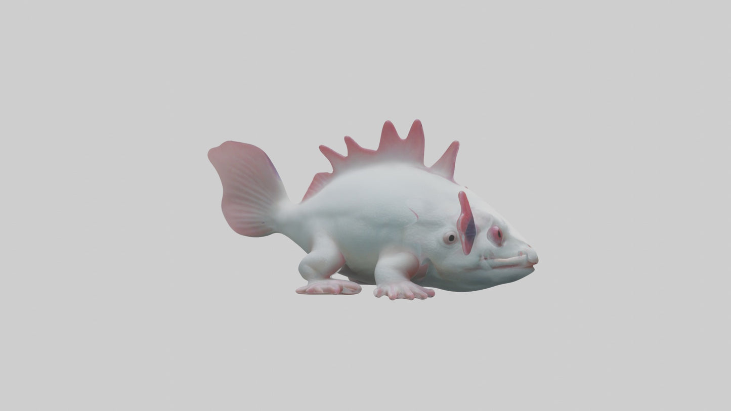 3D model Axolotl Model 1 VR / AR / low-poly