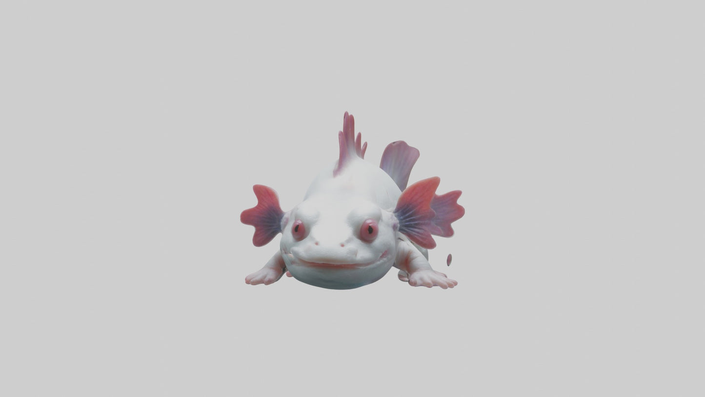 3D model Axolotl Model 1 VR / AR / low-poly