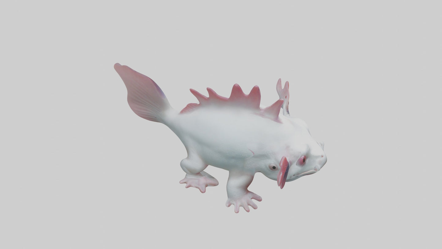 3D model Axolotl Model 1 VR / AR / low-poly