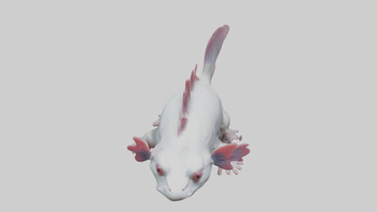 3D model Axolotl Model 1 VR / AR / low-poly