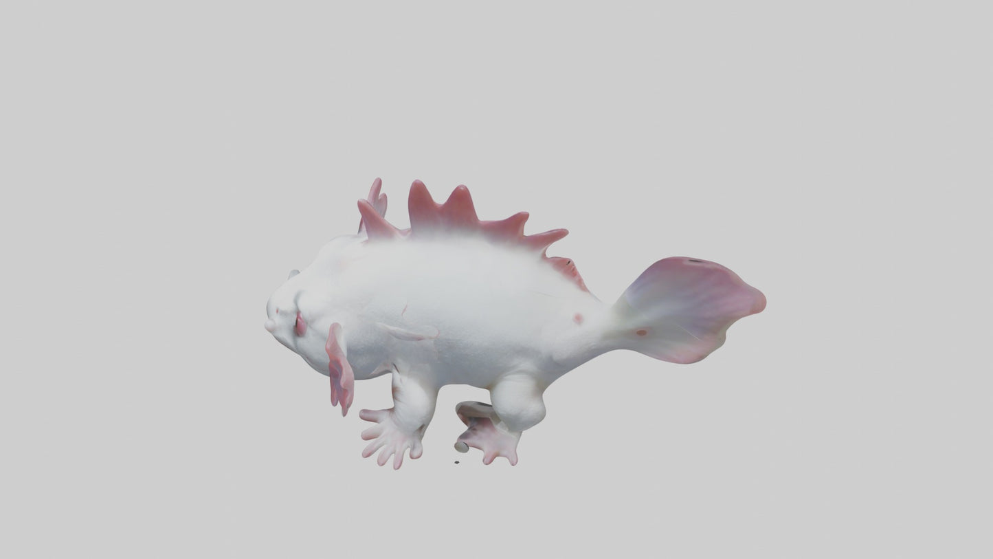 3D model Axolotl Model 1 VR / AR / low-poly