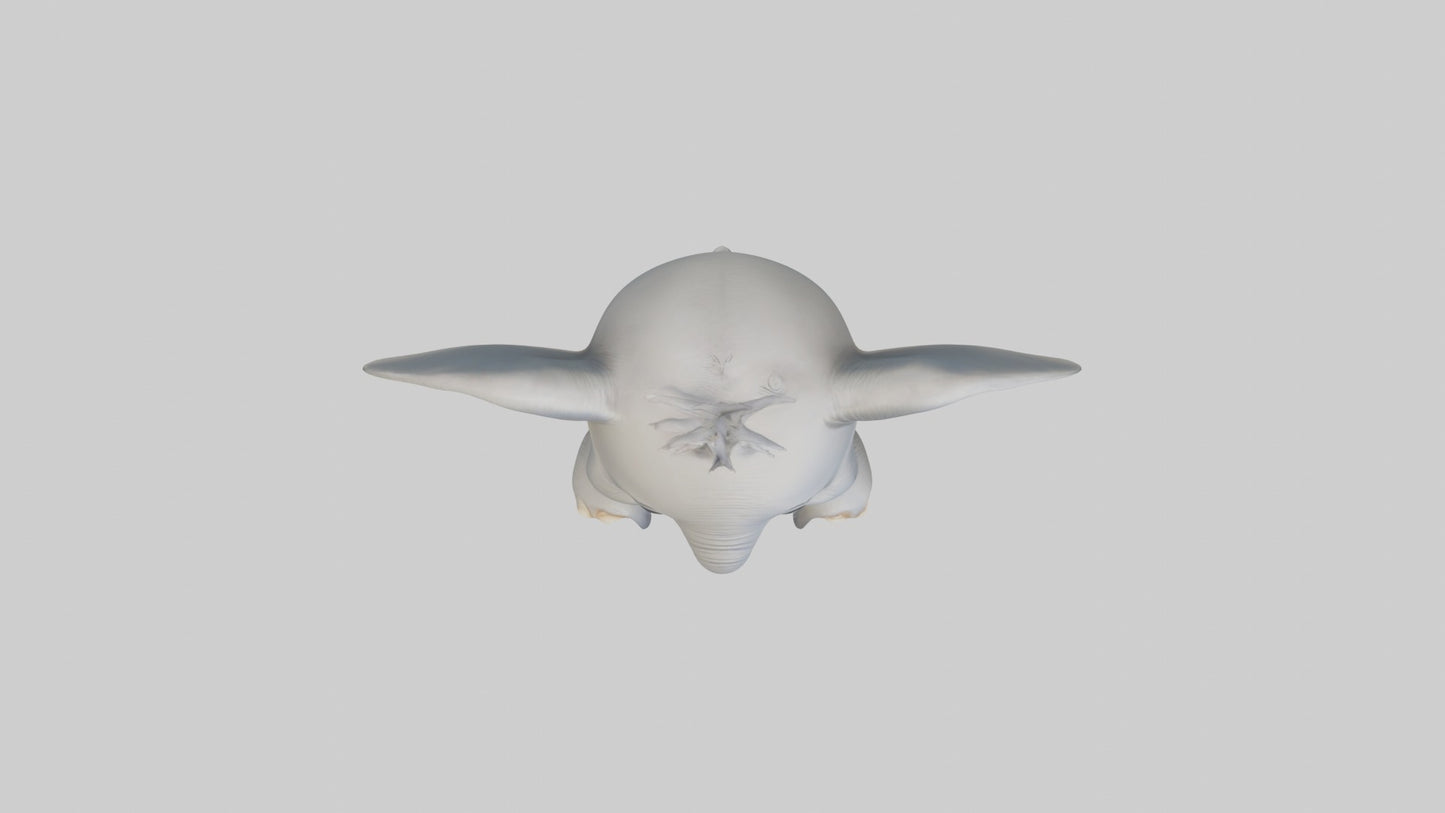 3D model Baby Elephant Model 1 VR / AR / low-poly