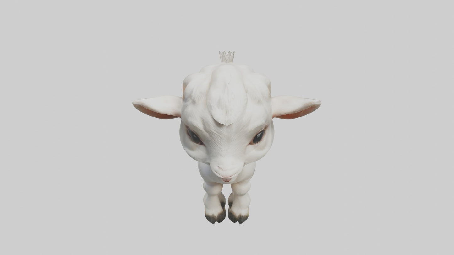 3D model Baby Goat Kid Model 1 VR / AR / low-poly