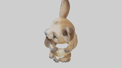 3D model Baby Kangaroo Joey 1 VR / AR / low-poly