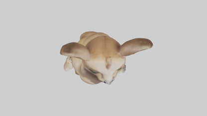 3D model Baby Kangaroo Joey 1 VR / AR / low-poly