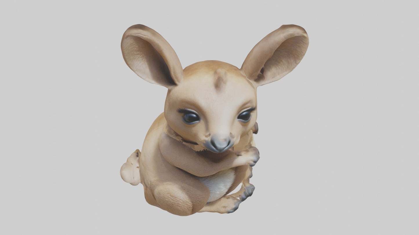 3D model Baby Kangaroo Joey 1 VR / AR / low-poly