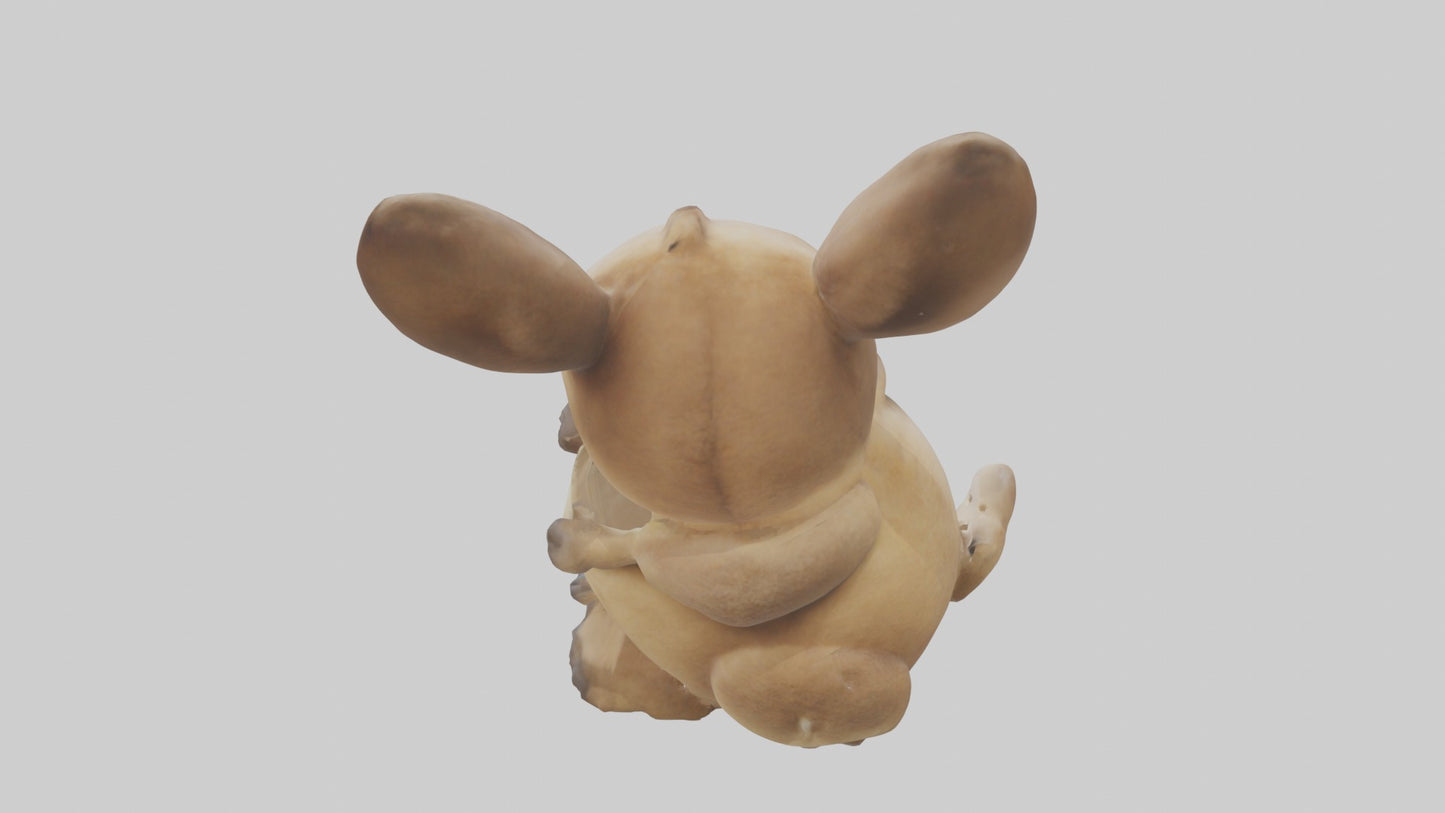 3D model Baby Kangaroo Joey 1 VR / AR / low-poly