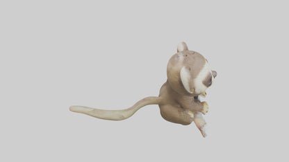 3D model Baby Sloth Model 1 VR / AR / low-poly