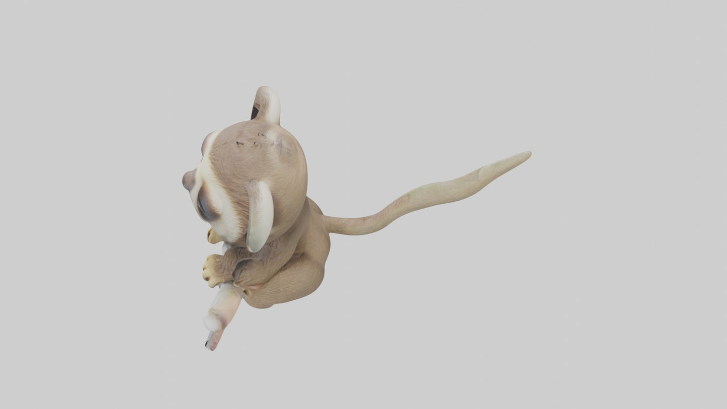 3D model Baby Sloth Model 1 VR / AR / low-poly