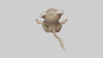 3D model Baby Sloth Model 1 VR / AR / low-poly