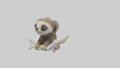 3D model Baby Sloth Model 1 VR / AR / low-poly