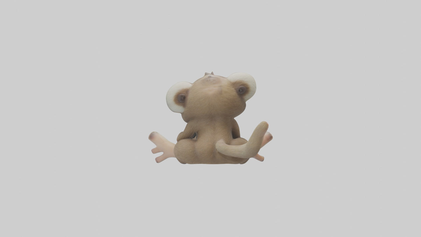 3D model Baby Sloth Model 1 VR / AR / low-poly