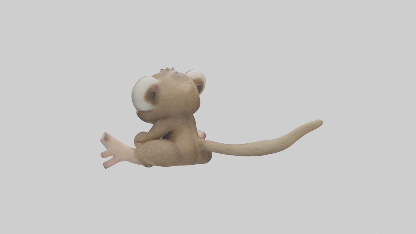 3D model Baby Sloth Model 1 VR / AR / low-poly