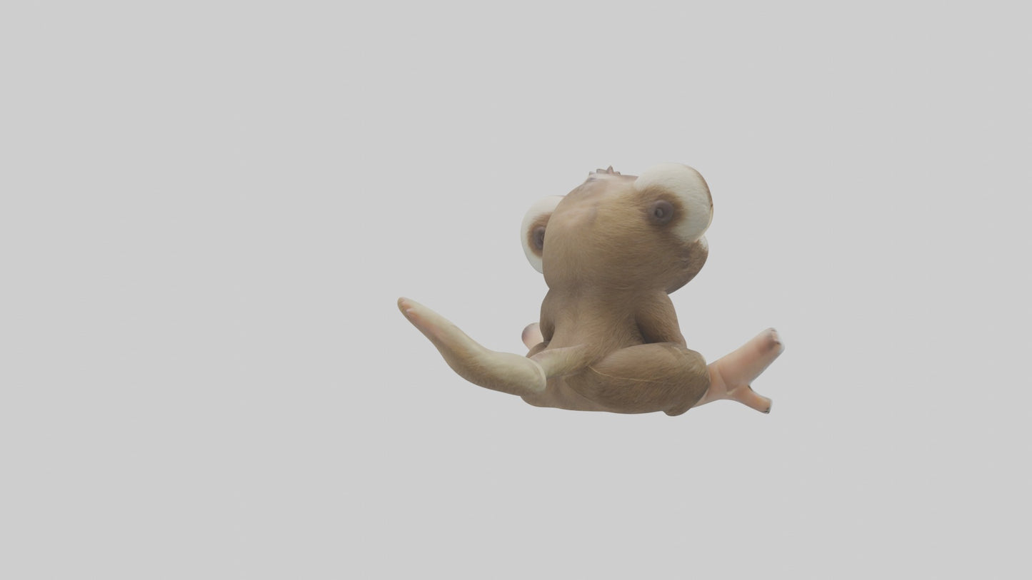 3D model Baby Sloth Model 1 VR / AR / low-poly
