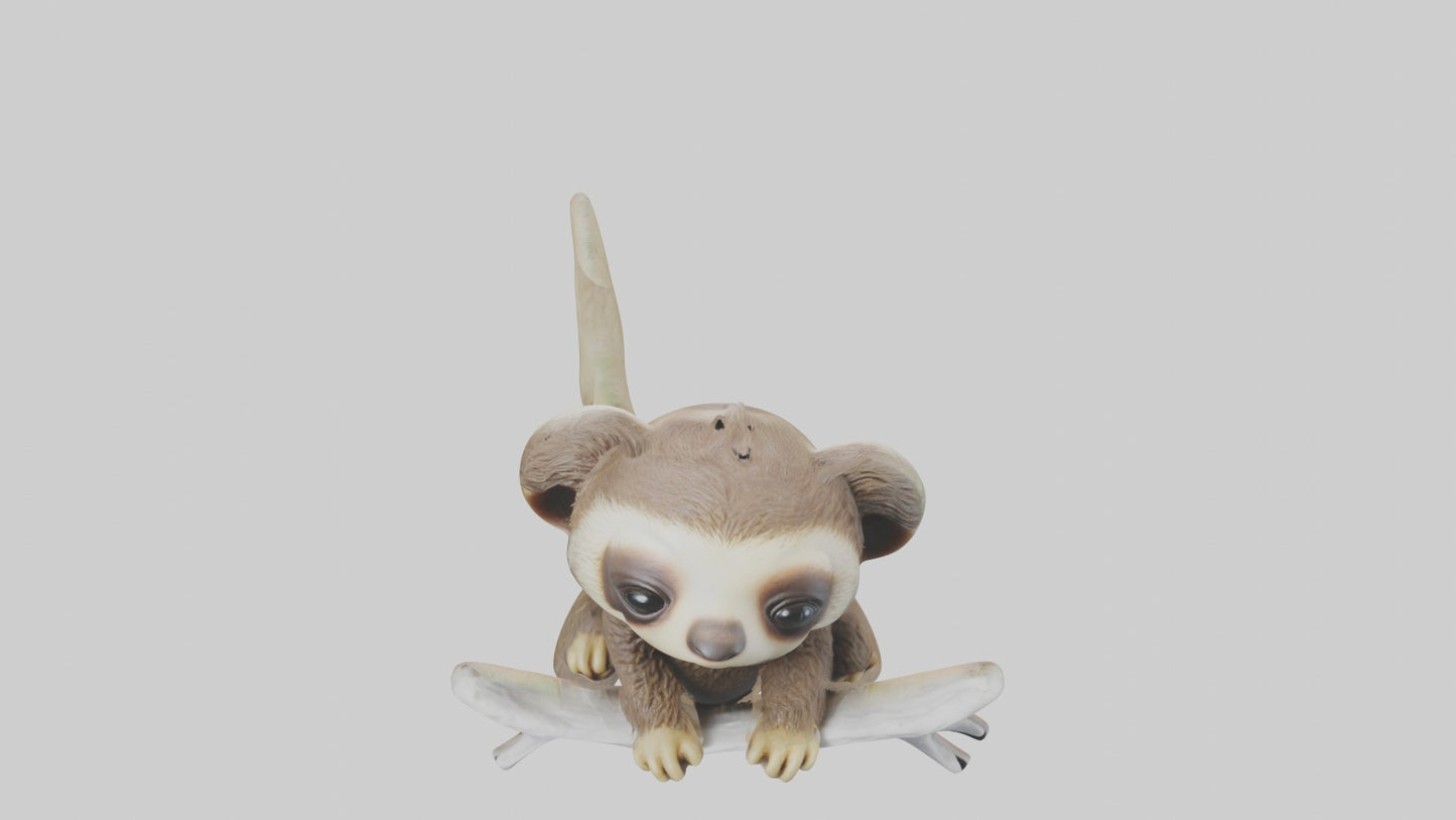 3D model Baby Sloth Model 1 VR / AR / low-poly