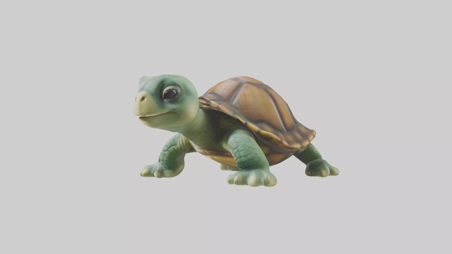 3D model Baby Turtle Model 1 VR / AR / low-poly