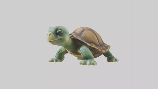 3D model Baby Turtle Model 1 VR / AR / low-poly